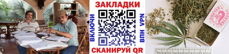 Где купить наркоту Тогучин ГАШИШ  A PVP  Меф  МАРИХУАНА  АМФЕТАМИН  Кокаин 