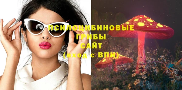 гидра Сосновка