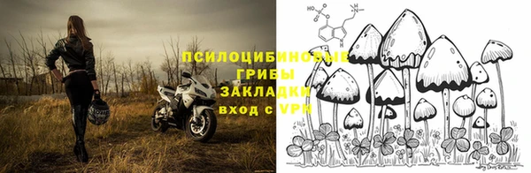 прущие крисы Сосновоборск