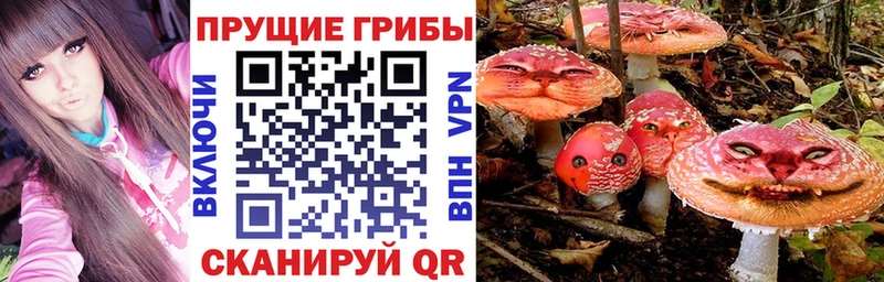 blacksprut зеркало Тогучин Галлюциногенные грибы прущие грибы