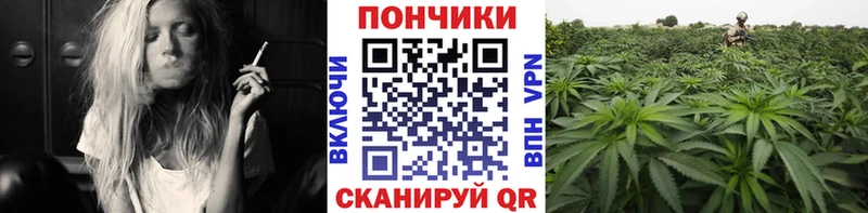 ссылка на мегу вход  Тогучин  Марихуана LSD WEED 